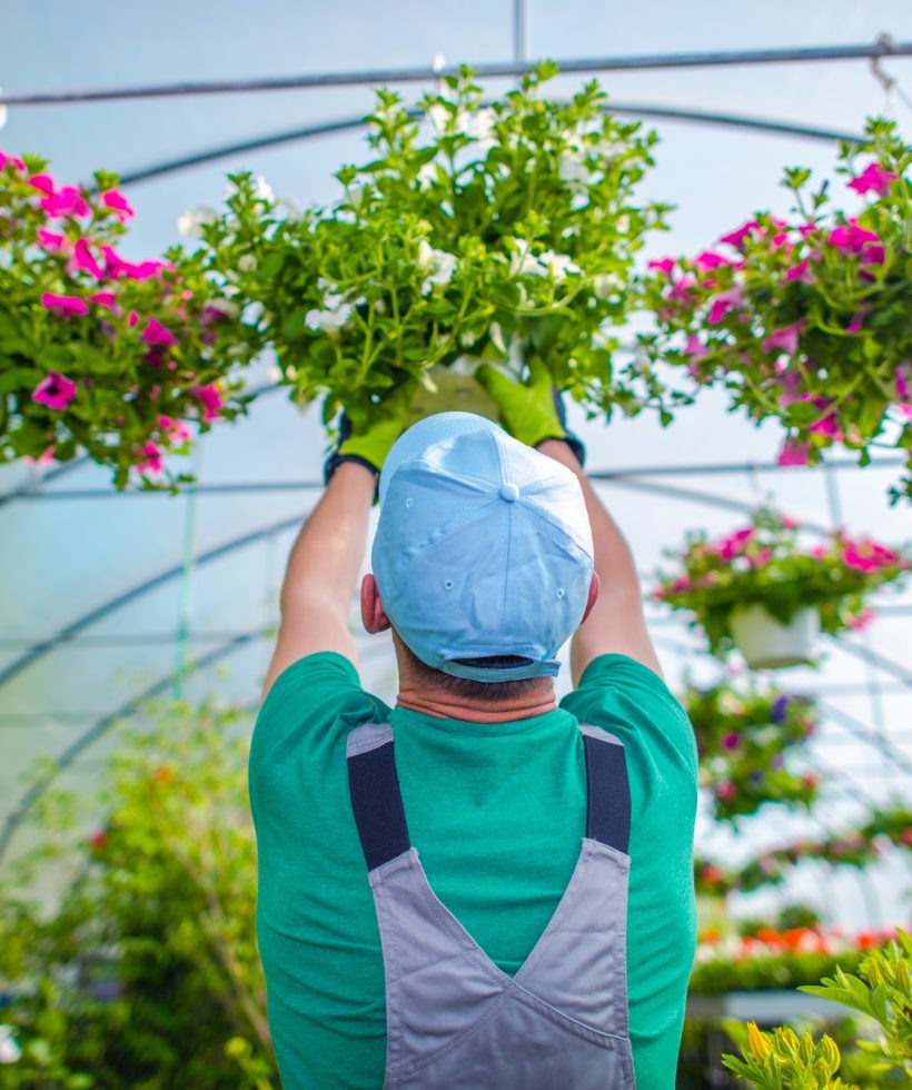 gardener-and-his-flowers.jpg gardener-and-his-flowers.jpg